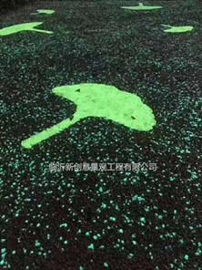 <font color='#333333'>彩色蓄能自发光路面</font>